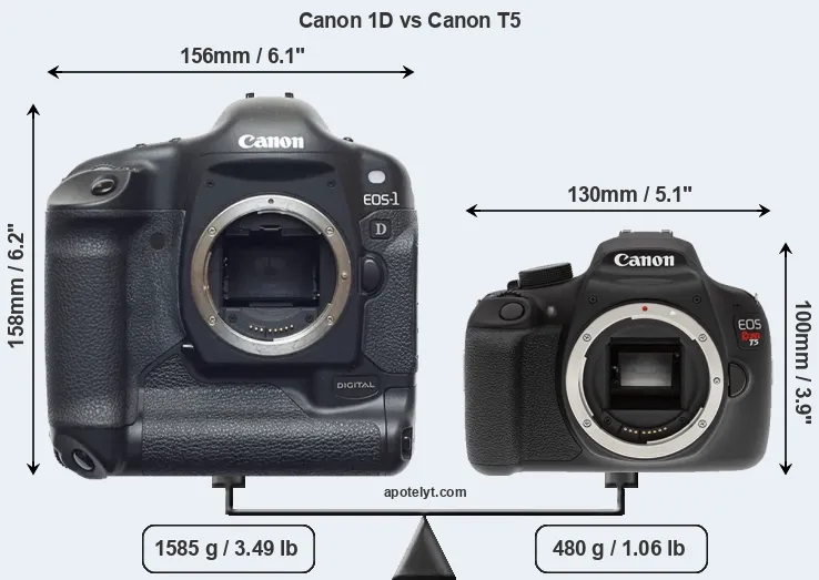 Size Canon 1D vs Canon T5