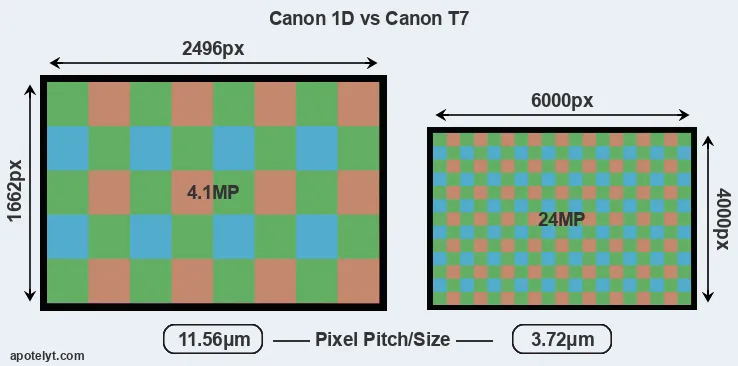1D versus T7 MP