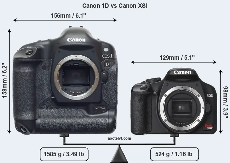 Size Canon 1D vs Canon XSi