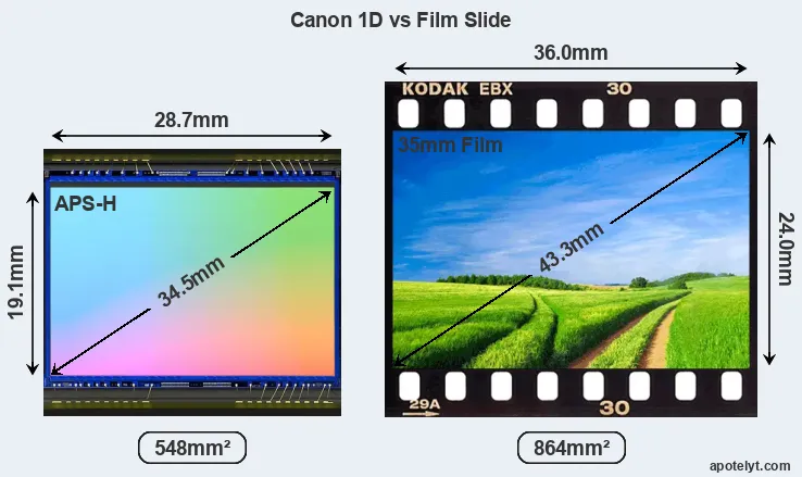 Canon 1D and Credit Card sensor measures