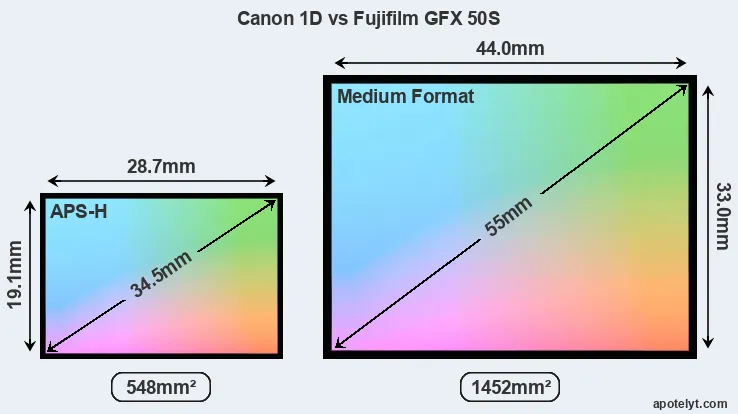 Canon 1D and Fujifilm GFX 50S sensor measures