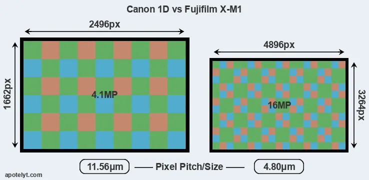 1D versus X-M1 MP