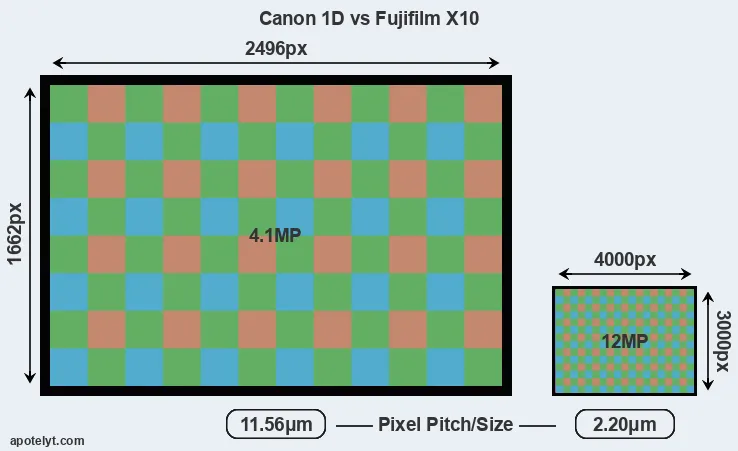 1D versus X10 MP