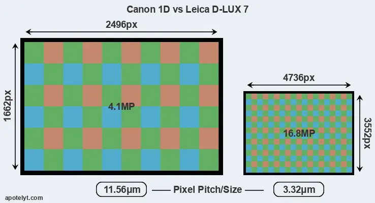 1D versus D-LUX 7 MP