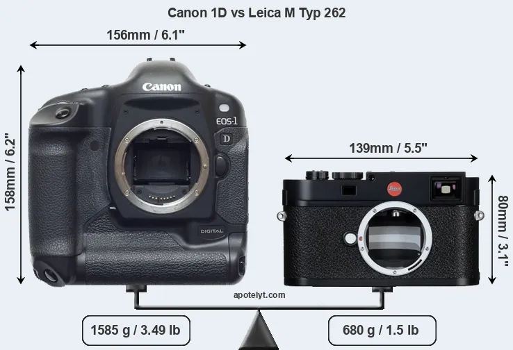 Size Canon 1D vs Leica M Typ 262