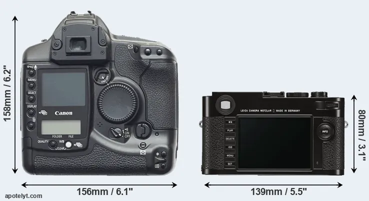 Comparison 1D or M Typ 262 rear