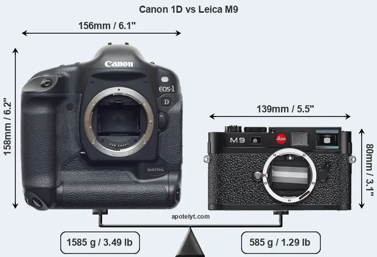 Size Canon 1D vs Leica M9