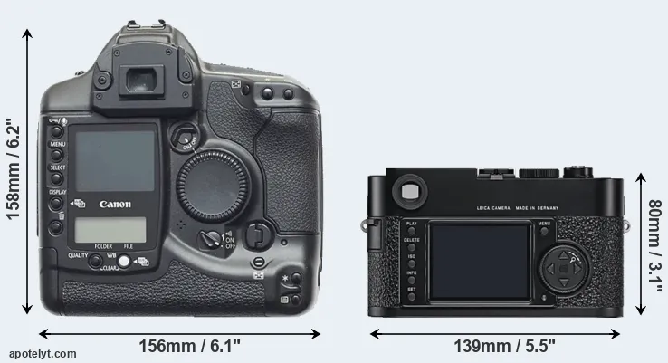 Comparison 1D or M9 rear