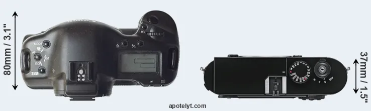 Compare 1D versus M9 top