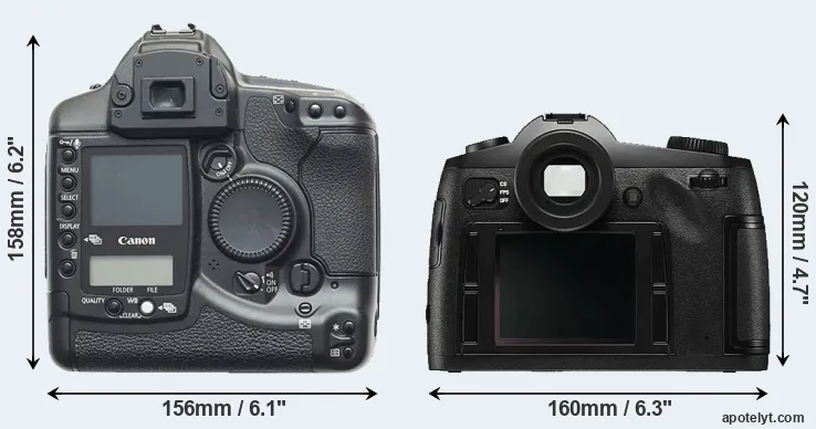 Comparison 1D or S Typ 006 rear