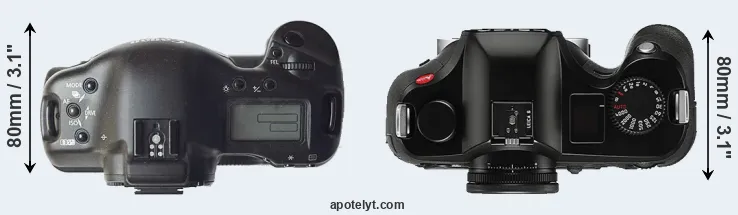 Compare 1D versus S Typ 006 top