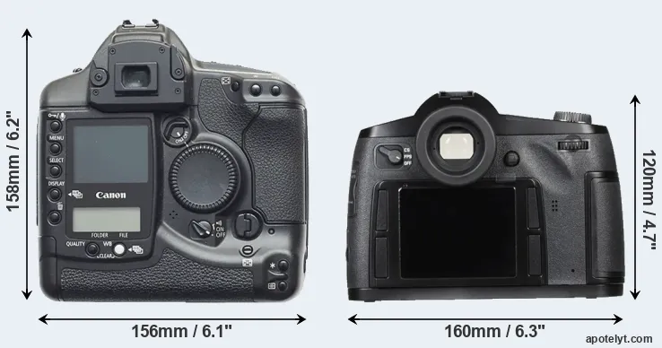 Comparison 1D or S Typ 007 rear