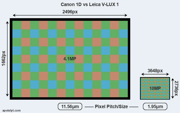 1D versus V-LUX 1 MP