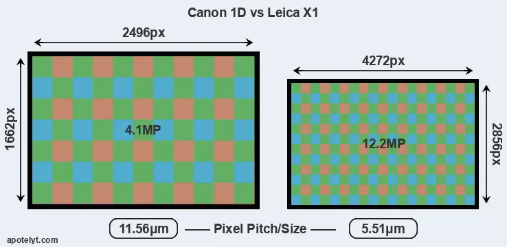 1D versus X1 MP