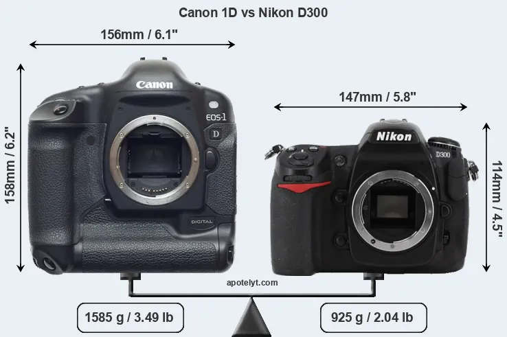Size Canon 1D vs Nikon D300