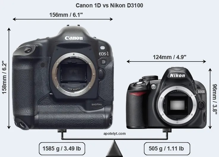 Size Canon 1D vs Nikon D3100
