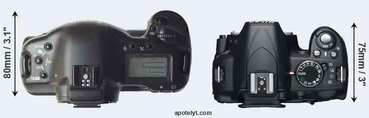 Compare 1D versus D3100 top