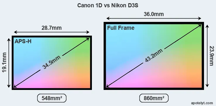 Canon 1D and Nikon D3S sensor measures