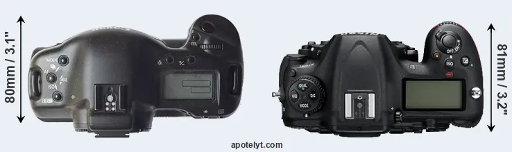 Compare 1D versus D500 top