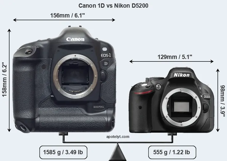 Size Canon 1D vs Nikon D5200