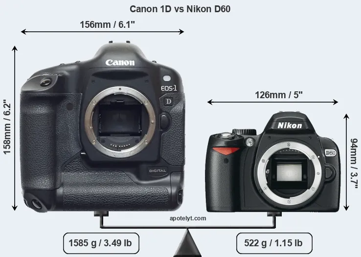 Size Canon 1D vs Nikon D60