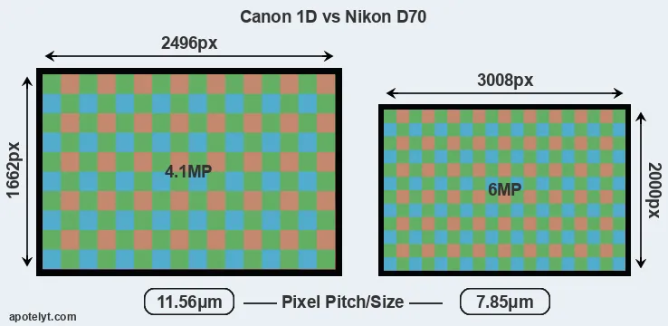 1D versus D70 MP