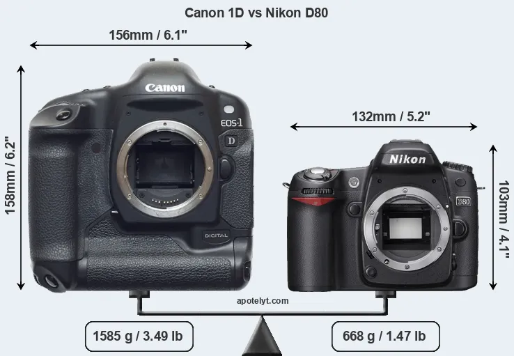 Size Canon 1D vs Nikon D80