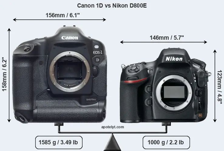 Size Canon 1D vs Nikon D800E
