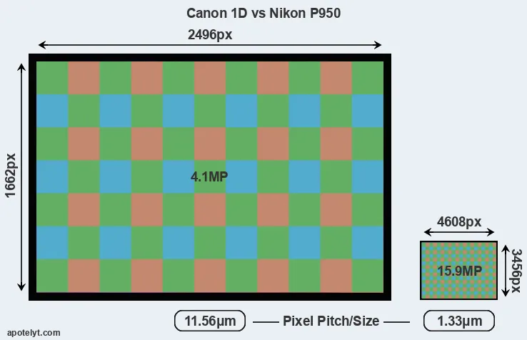 1D versus P950 MP