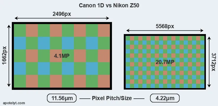 1D versus Z50 MP