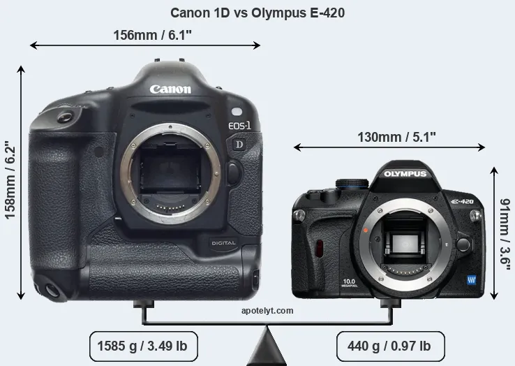 Size Canon 1D vs Olympus E-420