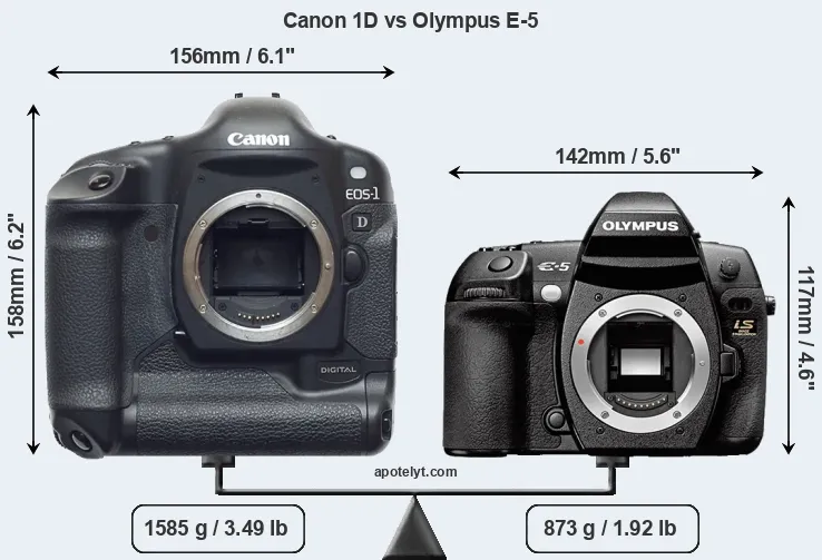 Size Canon 1D vs Olympus E-5