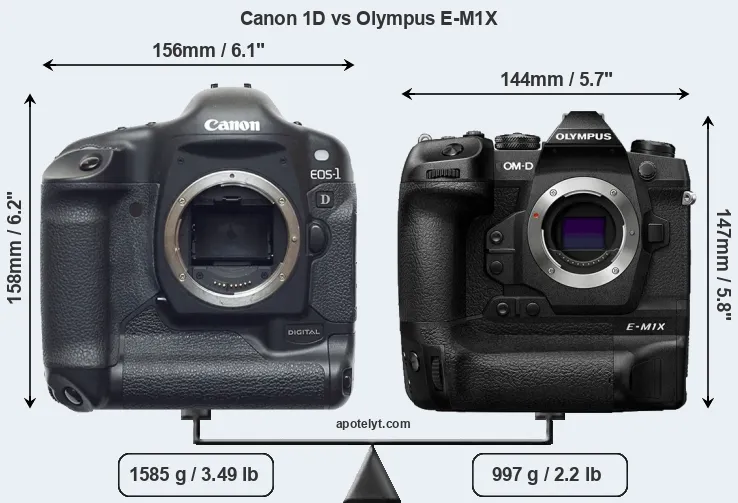 Size Canon 1D vs Olympus E-M1X