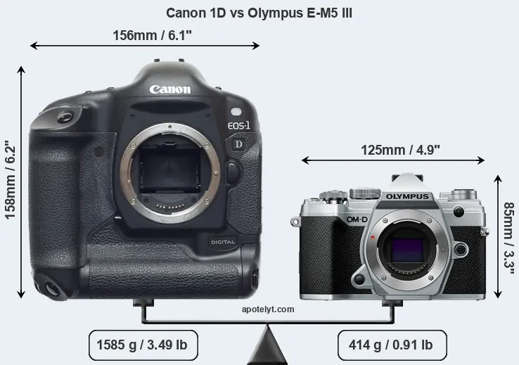 Size Canon 1D vs Olympus E-M5 III