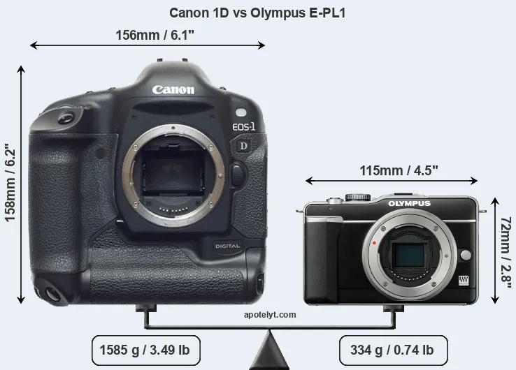Size Canon 1D vs Olympus E-PL1