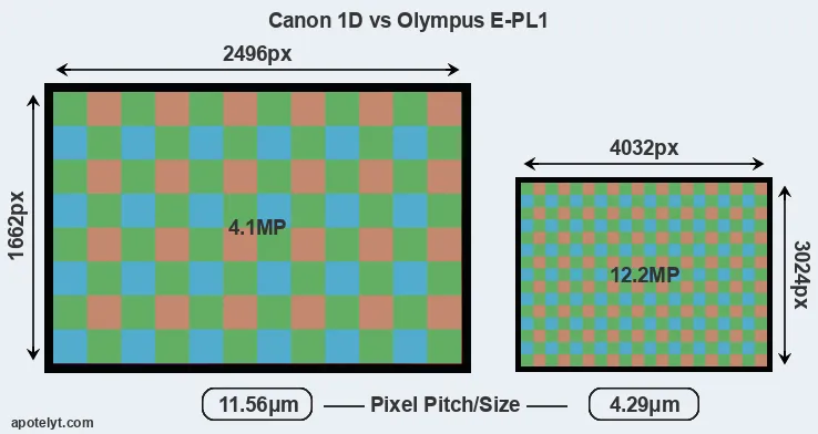 1D versus E-PL1 MP