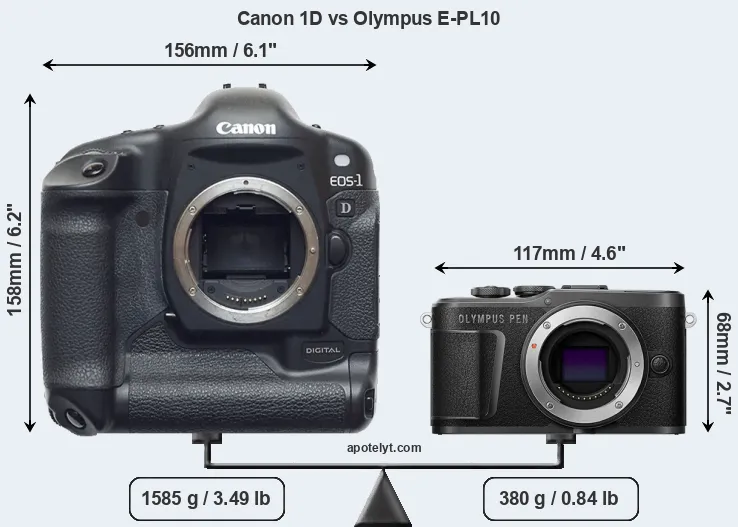 Size Canon 1D vs Olympus E-PL10