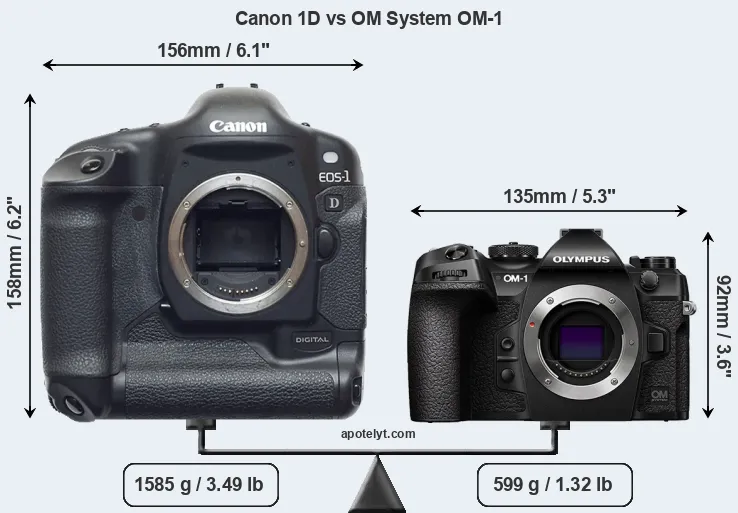 Size Canon 1D vs OM System OM-1