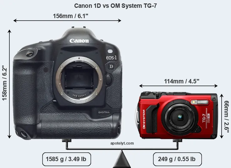 Size Canon 1D vs OM System TG-7