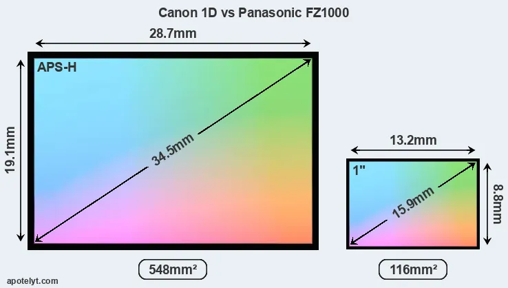 Canon 1D and Panasonic FZ1000 sensor measures