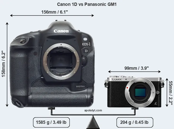 Size Canon 1D vs Panasonic GM1
