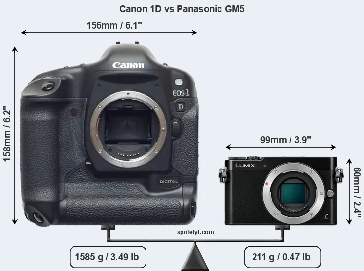 Size Canon 1D vs Panasonic GM5