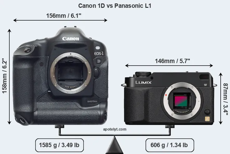 Size Canon 1D vs Panasonic L1
