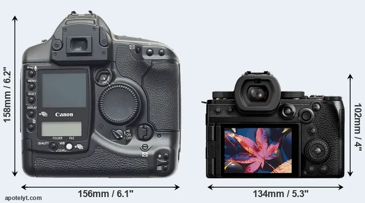 Comparison 1D or S5 II rear