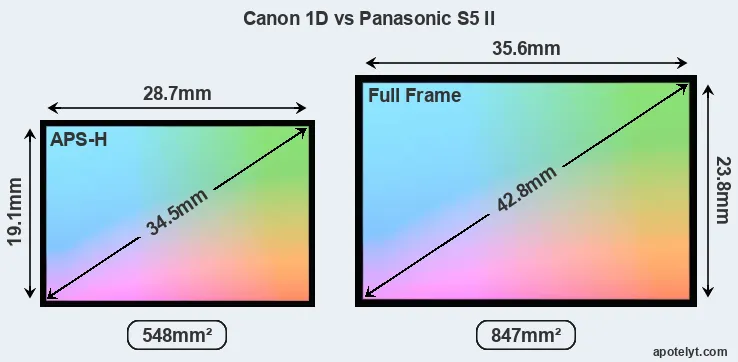 Canon 1D and Panasonic S5 II sensor measures