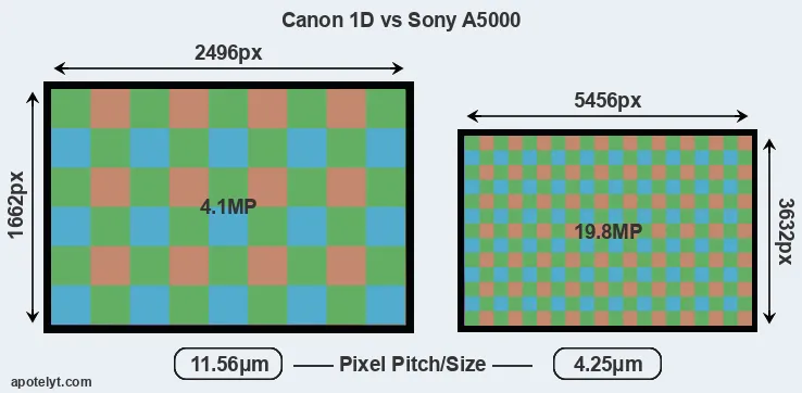 1D versus A5000 MP