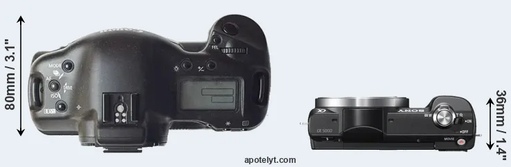 Compare 1D versus A5000 top