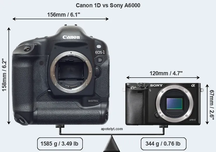 Size Canon 1D vs Sony A6000