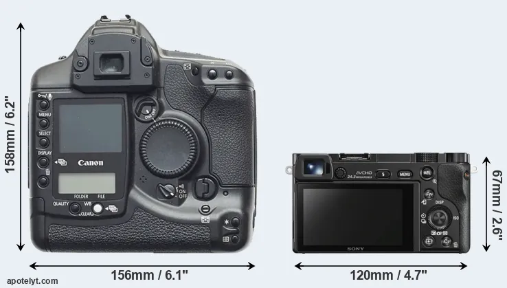 Comparison 1D or A6000 rear