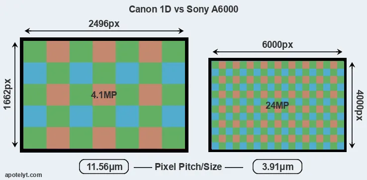 1D versus A6000 MP